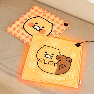 ����� �¿� �漮