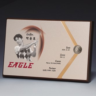 ���� �ι�ȭ �˷�̴� ���� Ʈ���� S8A015-12