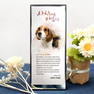 ���� ����� ���� ���� ������ ���� �ݷ��߱��ǰ