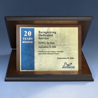 ������� ��������� (�����̾�)