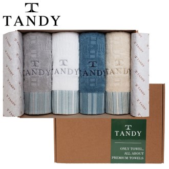 �ĵ� T-21 �����̾� ��Ű�� ���ڵ� ����Ÿ�� 4p ��Ʈ 40x80cm, Ÿ��