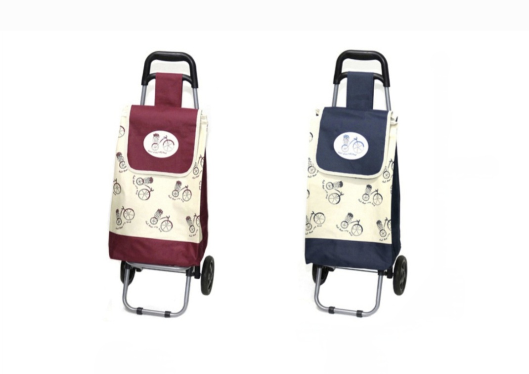 ĳ���� īƮ ĳ���� ��ٱ��� ���尡��