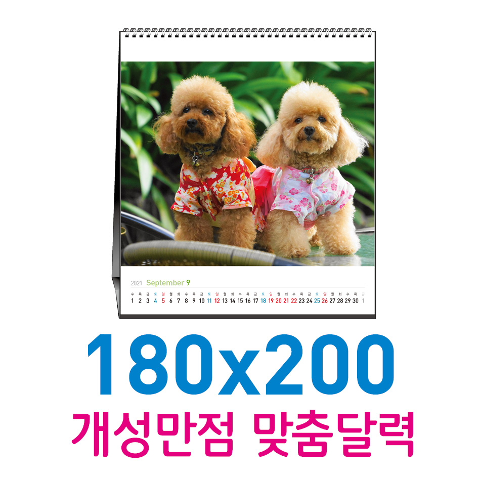 Ź�� ī���� 180x200 (�ֹ� ������)